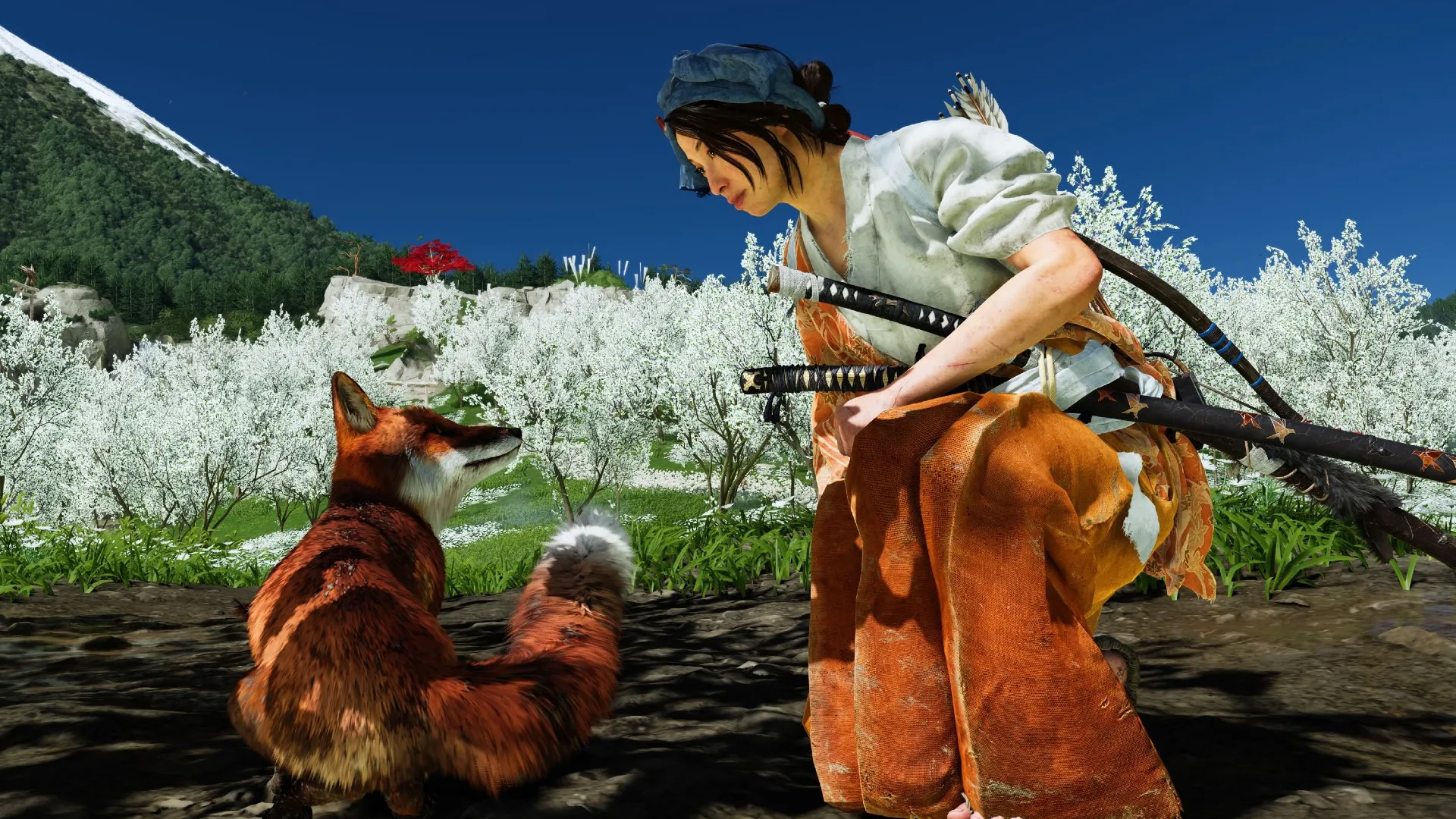 Moradores de Hokkaido alertam turistas após jogo “Ghost of Yotei” popularizar carinho em raposas - Imagem do artigo