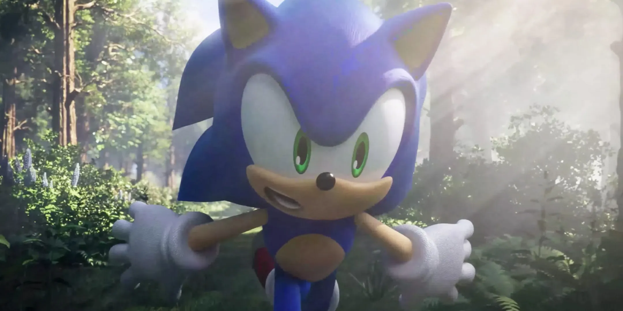 Fã cria conceito de RPG de Sonic com batalhas em movimento e repercute nas redes - Imagem do artigo