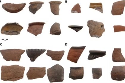 Cerâmicas desvendam cardápios e trocas culturais do Brasil no século XIX