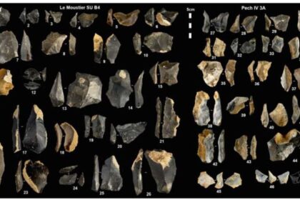 Estudo mostra que neandertais seguiram plano fixo para fabricar ferramentas