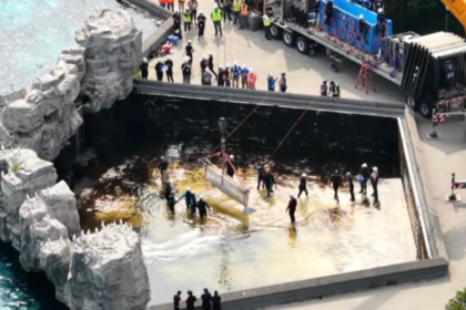 Resgate de baleias-beluga encerra atividades de parque no Canadá