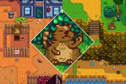 Encontre o Trash Bear e complete as 4 missões para limpar Pelican Town