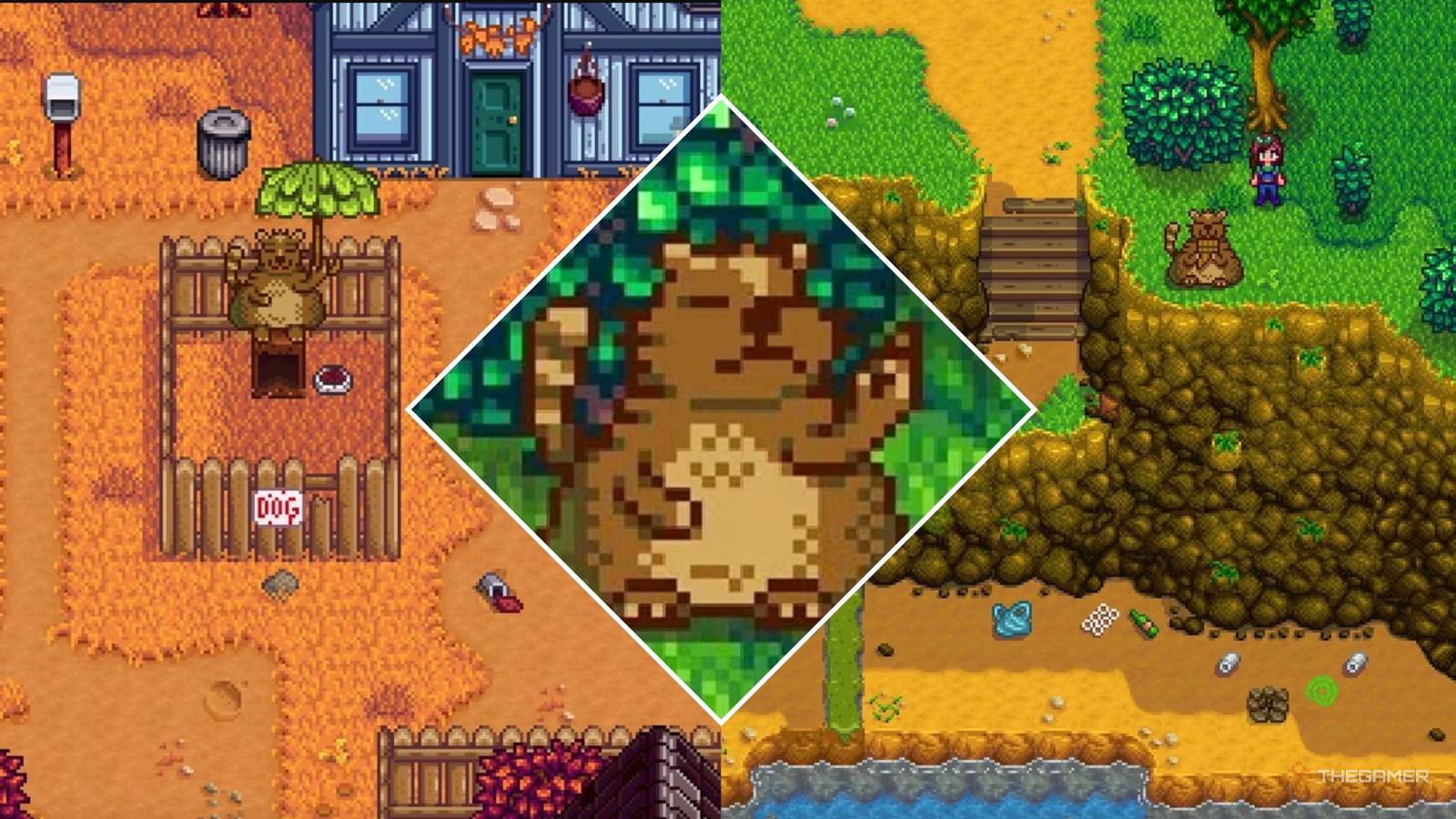 Encontre o Trash Bear e complete as 4 missões para limpar Pelican Town
