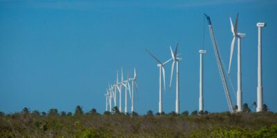 Projeto busca oportunidades para economia verde no Nordeste