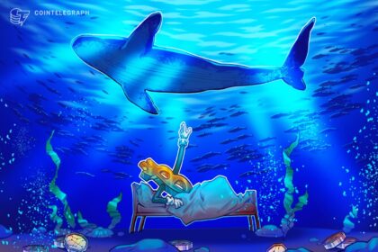 Baleias retiram BTC da Binance; aporte em stablecoins dispara