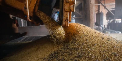 Safra 2026/27 supera 367 milhões t; área cresce apesar do El Niño
