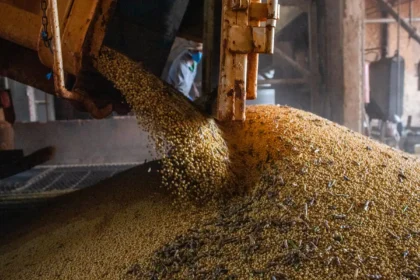 Safra 2026/27 supera 367 milhões t; área cresce apesar do El Niño