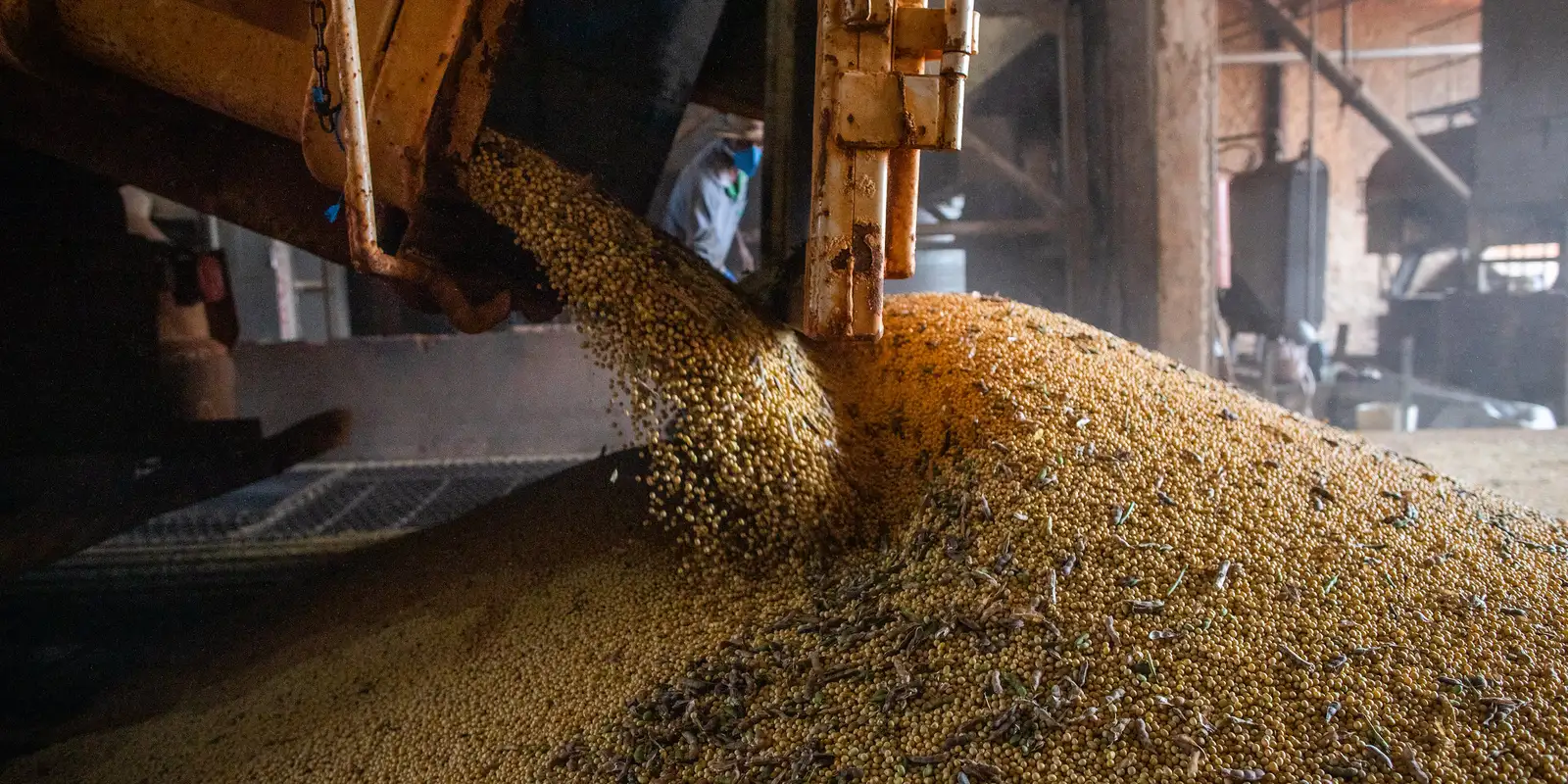 Safra 2026/27 supera 367 milhões t; área cresce apesar do El Niño